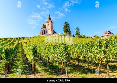 Malerische Kirche in Weinbergen der berühmten Hunawihr Dorf, Elsass, Frankreich Stockfoto