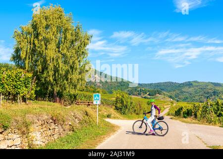 Frau Radfahrer auf der Straße entlang der Weinberge zu Hunawihr Dorf, Elsass, Frankreich Stockfoto