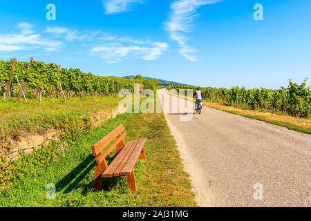 Radfahrer reiten auf der Straße entlang der Weinberge zu Hunawihr Dorf, Elsass, Frankreich Stockfoto