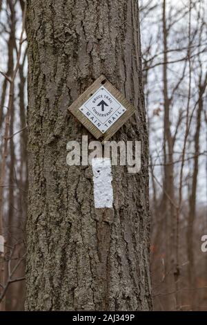 Burlington, Kanada, 2. Januar 2020: Bruce Trail Hauptwegmarkierungen auf einem Baum in der Nähe von Burlington Stockfoto