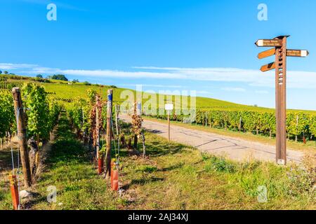 Schild mit Radfahren Pfadnamen in den Weinbergen auf der Elsässischen Weinstraße in der Nähe von Riquewihr, Frankreich Stockfoto