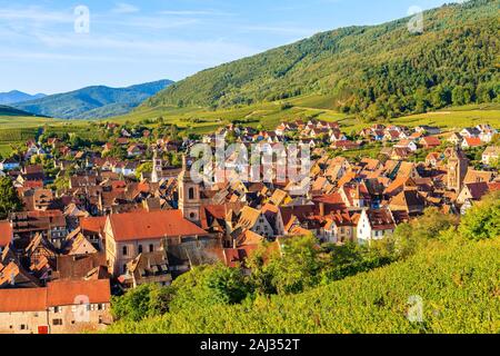 Blick auf Weinberge in Riquewihr, Elsass, Frankreich Stockfoto