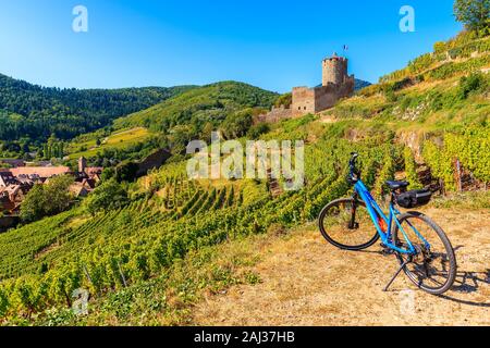 Fahrrad zwischen Weinbergen und Blick auf die Burg Kaysersberg, Elsass, Frankreich Stockfoto