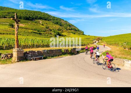 RIQUEWIHR, Frankreich - 20.September 2019: Männer auf rennräder Radfahren in Weinbergen in der Nähe von Riquewihr Dorf auf der elsässischen Weinstraße, Frankreich. Stockfoto