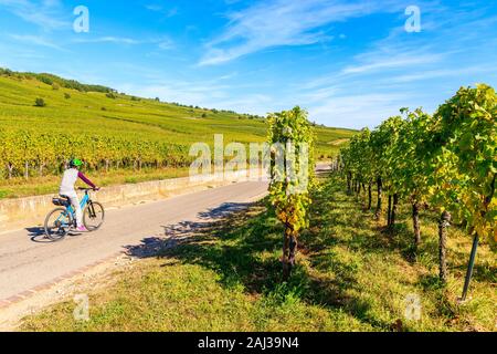 Junge Frau Radfahren auf der Straße entlang der Weinberge nach Kaysersberg, Elsass, Frankreich Stockfoto