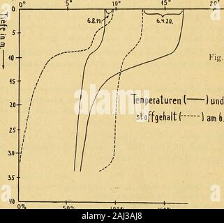 Die Kunstdenkmäler der Geographischen Gesellschaft und des Naturhistorischen Museen in Lübeck. ) Eratur und SauerstoÖwerte miteinander - noch deutlicher ist die Darstellung durch Kurven in Abbildung 5 -, so daß siehtman, Temperatur und Sauerstoffgehalt zu allen Zeiten parallel laufen, Temperatur in 5o^. Abb. 5. () und Sauer - 50% 100% Sauerstoffgehalt in 7* derSättijun 9. 150% 61 beide haben ihre Sprungschicht in derselben Tiefe. Der Hemmelsdorfer Seegehört auch bezüglich Thunfischwadenfänger Sauerstoffverhältnisse zum baltischen Seentypus (in Thienemannscher Bezeichnung.^) This gesehen des baltischen Typus sindnährstoffre Stockfoto