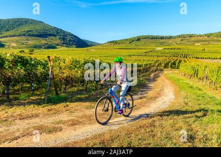 Junge Frau Radfahren auf der Straße entlang der Weinberge von Riquewihr, Kaysersberg, Elsass, Frankreich Stockfoto