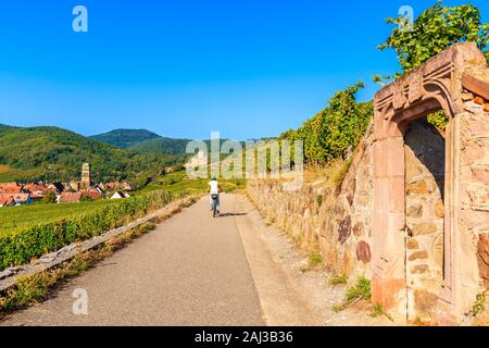 Junge Frau Radfahren auf der Straße entlang der Weinberge nach Kaysersberg, Elsass, Frankreich Stockfoto