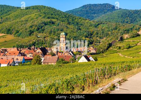 Grünen Weinbergen und Blick von Kaysersberg mittelalterliches Dorf auf der elsässischen Weinstraße, Frankreich Stockfoto