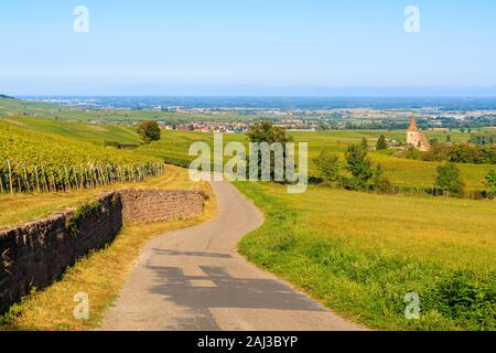 Straße unter den Weinbergen Hunawihr Dorf mit alten Kirche im Hintergrund, Elsass, Frankreich Stockfoto