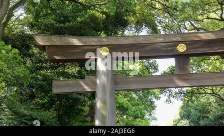 Schließen pan der Meiji Shrine torii Tor in Shibuya in Tokio Stockfoto
