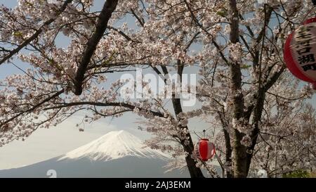 In der Nähe von Mt. Fuji und einen Kirschbaum mit Papier Laterne an Lake Kawaguchi Stockfoto