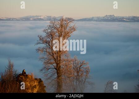 Ein Blick auf die Schweizer Alpen in einem Meer von Wolken aus dem Uetliberg, Schweiz Stockfoto