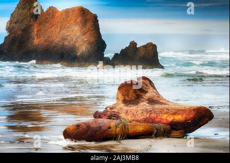 Arcadia Beach Treibholz bei bewölktem Himmel auf der Oregon Küste in der Nähe von Cannon Beach, Oregon. Stockfoto