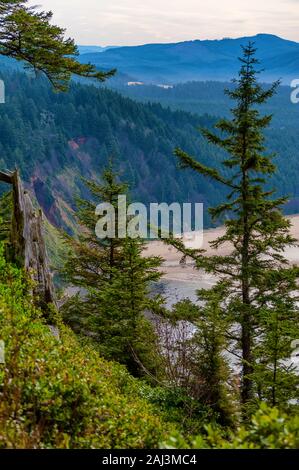 Blick vom Cape Lookout Wanderung an der Küste von Oregon in der Nähe von Dornbirn. Stockfoto