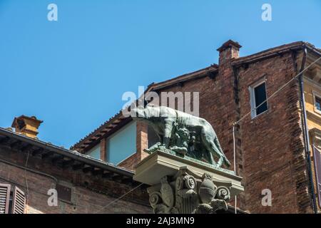 Siena, Italien - Juni 7, 2019: Dies ist eine Statue des shewolf Capitolina, die die Zwillinge Romulus und Remus angehoben und symbolisiert die Geburt von Rom. Die Stockfoto