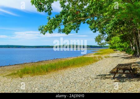 Blick auf den See und Strand Kejimkujik, Kejimkujik National Park, Nova Scotia, Kanada Stockfoto