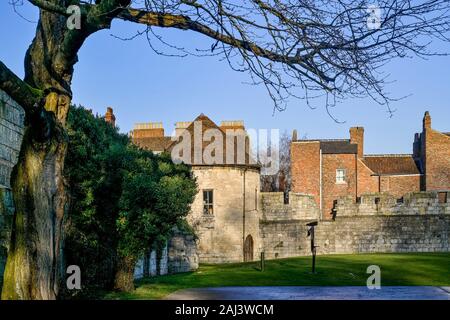 Stahlskulptur von Michael Lyons, die Künstler Garten, St Mary's Abbey, York, Yorkshire, England, Großbritannien Stockfoto