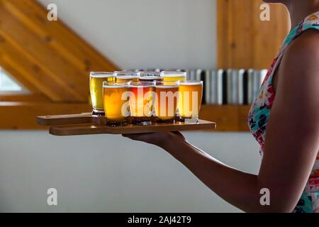 Selektiver Fokus auf Flug von Handwerk der verschiedenen Bier Gläser auf Holz- zwei Fach, auf kaukasische Frau Hand, halten Sie die Fächer Seitenansicht Stockfoto