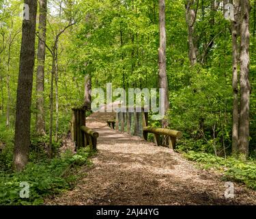 Nature Trail, wandern, gewundenen Pfad durch den Wald der Natur Conservation Park. Hölzerne Brücke über Stream anmelden Stockfoto