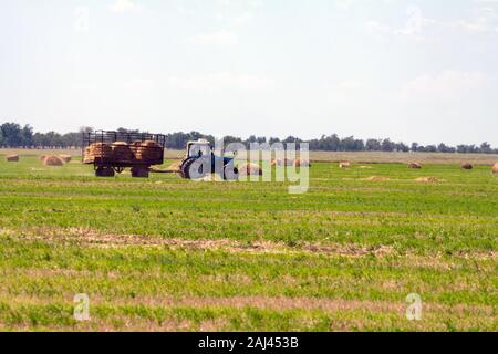 Einen landwirtschaftlichen Traktor Lader lasten Heuballen in einen Traktor Anhänger auf dem Feld Stockfoto