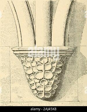 Revue de l'art Chrétien. Frise du Querschiff Sud de la Cathédrale de Soissons. Vigne. Voit du Chêne, de lacanthe, du géranium Deschamps que nous navions pas Encore rencontréailleurs, de la renoncule, du Lierre, de la Vigne; lérable etde-sur les Konsolen, auf Voit de la vigneà Lappen pointus qui rappelle Celle de plusieurs chapiteaux de la Cathédrale de la Belle vigne àlobes arrondis semblable à Celle de La Clef gau-che du Porche intérieur et une Jolie feuille qui doitêtre de la renoncule avec Son bouton Dor. Toutecette Skulptur, surtout Celle des Konsolen, ein Le ca-ractère du XIII&lt; = siècle. Stockfoto