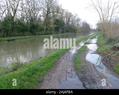 COULON innerhalb' des Marais Poitevin Nationalpark "Grand Site de France", die Hauptstadt der Grünen Venedig von der Brücke aus gesehen über die Sèvre Stockfoto