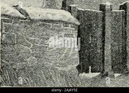 Geschichte der Pilger und Puritaner, ihre Vorfahren und Nachkommen; Grundlage der Amerikanisierung. • T^3*.. Stockfoto