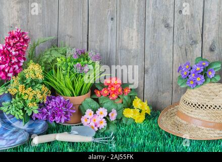 Im Garten arbeitende Werkzeuge und Blumen auf der Wiese in der Nähe von einem hölzernen unbemalt Zaun. Konzept der Garten-Hobby Stockfoto