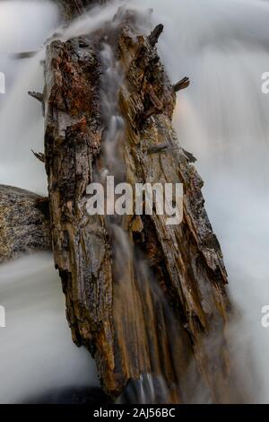 Gefallen Anmelden mit rauschenden Wasser im Fluss Stockfoto