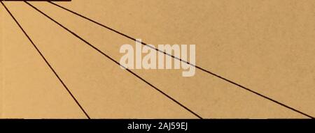 Bericht über eine Umfrage der Regierung der Stadt und Grafschaft von San Francisco. Allgemeine HOUSEKEEPINGSERVICE Pflege/ine/r, c/o/ninay. Zaun trocken*/k. C/eonf/ness ofJ> uf/dmgsand Ohr* ofeou/pmen/Gattungen/supervisionof Wir/Tarif ori/MRA/ea. Ich DIC-AL und NURSINGSERVICE Ärzte (Par//ime) Af £*/vu #3 £ s Oc 7 SoHOSp/T*L ST £ W* fTO/J" o0#DC * J-Y von/er ins/ITU/ion flM 0 UL * NC 0 mV £ £ R* $ C. Oper/Ion ofenoinewond/boi/ers. p/umbfnp £ r/e//v £ £&#SST" C* MS/Rs - £ U* WATCHMANSERVICE Cotre ofhuitdlnoaorrd herum * a/niahf Vf* mTC**t*T*/>* ich NMATE ARBEIT Stockfoto