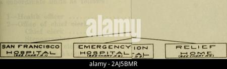 Auf eine Umfrage der Regierung der Stadt und Grafschaft von San Francisco Bericht. Er Health Officer keine Macht, außer als Weisung des Board Act hat, die heiligen Handlungen des Vorstands der Aufsichtsbehörden und das Recht des Staates, uponwhich solche Rechte sind. Er kann jedoch, und das theboard beraten, die Notwendigkeit für bestimmte Aktionen, aber endgültige Festlegung auf allmatters muss durch den Vorstand vorgenommen werden. Die Abteilung ist für die Zwecke der Verwaltung in den fol-genden wichtigen Einheiten unterteilt: 1 - Central Office, die unter der unmittelbaren Aufsicht des healthofficer und umfasst alle Zweige o Stockfoto