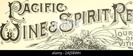 Pacific Wein und Geist. G.G.WHITE CO., PARIS, BOURBON-COUNTY, KY.. Stockfoto