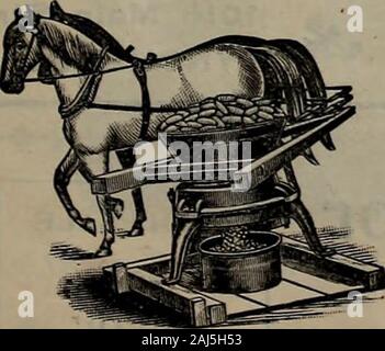 Südliche Pflanzmaschine: Praktische und progressiven Landwirtschaft, Gartenbau, Trucking, live Stock und dem Kamin gewidmet. HOCKING TAL FEED CUTTER. DAIN MAIS CUTTER.. STAR SWEEP MÜHLE. Stockfoto