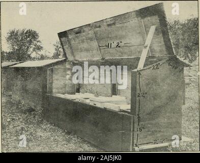 Nachlese in Biene Kultur. Abb. 3.- vorne geöffnet bei heißem Wetter^ 706 NACHLESE IN BIENE KULTUR. - Die Ijack der Fall zur Inspektion geöffnet. mit Hoffman Frames und oft der Bot-tom-Bar des Rahmens reißen und brechen aus einem Kamm. Aber was kann ein Inspektor mit einem Ofthose okl Langstroth, Nesselsucht, wenn er findsthe Boden genagelt schnell Awith ten-pennynails, und die Kämme im rechten Winkel gebaut, und jedes andere an der Top-bar-offrames, und er hat mit ihm weder coldchisel noch Brecheisen. Es ist notliing zu dobut klug zu schauen und die proprietorthat zu erklären, soweit Sie discoerGd sein, es Isn Stockfoto