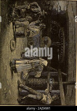 Mentone, Kairo und Korfu, auf der ein Kugelgelenk ofsome urzeitliche Tier, kam zum Eingang, und forci - Bly, wenn nicht durch Gewalt, uns gerichtet: In der letzten Zeit entdeckt wurde, dass thesefive Kavernen in diesem Kalkstein - Ach, meine Porphyr! Janet murmelte. - Enthalten Knochen von Tieren gemischt mit Feuerstein Instrumenten eingebettet in Sand. Die Tiere wurden die Flint Instrumente die Waffen der eine Rasse von menwho weit zurück in prähistorische Zeiten geherrscht haben müssen Foodand. Dies war eine reiche Entdeckung; aber ein Reicher wurde. Im Jahr 1872 ein menschliches Skelett, alle, aber perfekt, ein Skelett eines großen Mannes, w Stockfoto