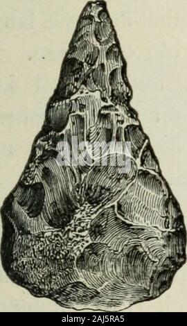 Anthropologie; eine Einführung in das Studium des Menschen und der Zivilisation. Stockfoto