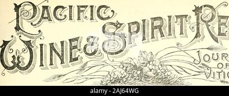 Pacific Wein und Geist. G.G.WHITE CO., PARIS, Bourbon County, KY.. Stockfoto