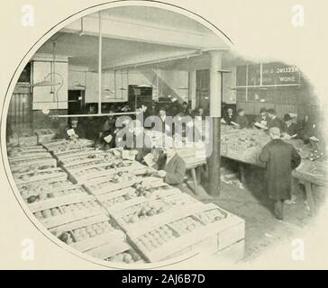 Leben London; seine Arbeit und seine spielen, sein Humor und Pathos, seine Sehenswürdigkeiten und seine Szenen;. K kkuit.. Prüfung S.A. NULES 288 LEBEN IN LONDON. Stockfoto