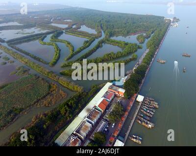 Guangzhou, China. 02 Jan, 2020. Die vogelperspektive von nansha Wetland Park in Guangzhou, Guangdong, China 02th Januar, 2020 (Photo von TPG/cnsphotos) Credit: TopPhoto/Alamy leben Nachrichten Stockfoto