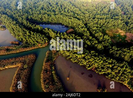 Guangzhou, China. 02 Jan, 2020. Die vogelperspektive von nansha Wetland Park in Guangzhou, Guangdong, China 02th Januar, 2020 (Photo von TPG/cnsphotos) Credit: TopPhoto/Alamy leben Nachrichten Stockfoto