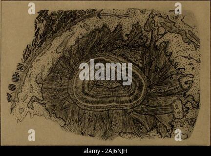 Ein Lehrbuch der zahnärztlichen Histologie und Embryologie, einschließlich Labor Richtungen. Tween theteeth, und ist auf die mehrsprachige Oberfläche des alveolarprocess eingefügt. Wenn diese schneidezähne gehalten zu sein, permanent, normale Ausrüstung von Fasern * Verlängerung von thecementum eines Zahnes zu den anderen muss gesichert werden. Die Fasern in diesem Bereich sind auch in Abb. 1 gezeigt. 224, Abb. 224 -, • iA% •>,. Leuchtet -- v*"". Ich: *> j.,.--?-?-?,. $?. ^]?>. V ^>. -,-. Lip? ; •;^ y^,, t • •. ? •,. **. •&Gt; j.,-. , /? Ein Teil der peridental Membran zwischen zwei Schneidezähne eines Yo Stockfoto