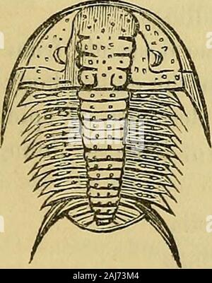 Die kanadische Zeitschrift für Wirtschaft, Wissenschaft und Kunst. Abb. 145.. Stockfoto