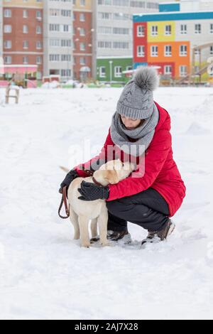 Portrait mit niedlichen flauschigen Welpen. Winter Spaziergang mit Hund. junge Frau geht mit Labrador Welpe, schneereiche Winter Stockfoto
