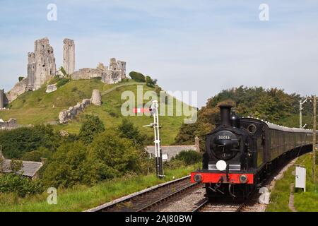 L&SWR 0-4-4T Klasse M 7 Nr. 30053 Dampfzug vorbei Corfe Castle auf der Swanage Railway, Dorset, England Stockfoto