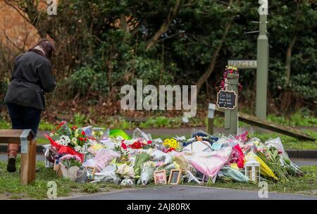 Eine Dame schaut floral Tribute, an der Szene in Stanwell geblieben sind, in der Nähe von London Heathrow Flughafen, der ein tödlicher Absturz am Silvesterabend in der drei British Airways Kabinenpersonal enthalten. Stockfoto