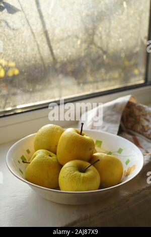 Natürliche gelbe Äpfel in eine weiße Platte auf einer Fensterbank, Bio Früchte an einem sonnigen Wintertag. Stockfoto