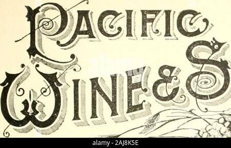 Pacific Wein und Geist. G, G. WEISS CO., PARIS, Bourbon County, KY.. Stockfoto