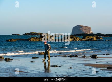 North Berwick, East Lothian, Schottland, Vereinigtes Königreich, 3. Januar 2019. UK Wetter: Ein Mann geht am Strand bei Ebbe an Milsey Bucht an einem kalten breezy sonnigen Tag Winter mit dem Bass Rock vulkanischen Stecker am Horizont Stockfoto