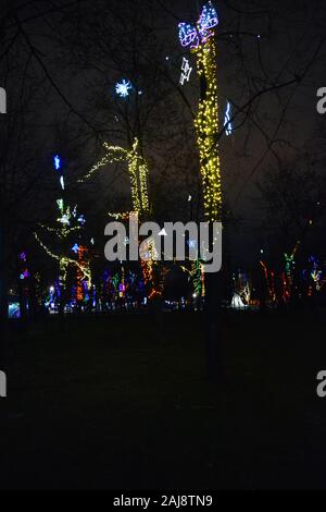 Multicolor winter bäume in leuchtenden Neues Jahr und Rozhdestvensky Girlanden von LEDs gewickelt, Glühlampen in den Park der Stadt Dnipro, Ukraine. Stockfoto